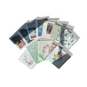 Assorted Greeting Cards Set of 12, Beautiful Blank Cards in Original Packaging